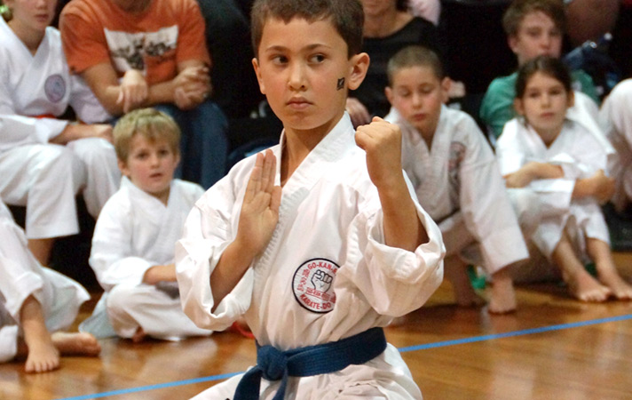 Understanding Kata And Its Relationship To Bunkai | GKR Karate