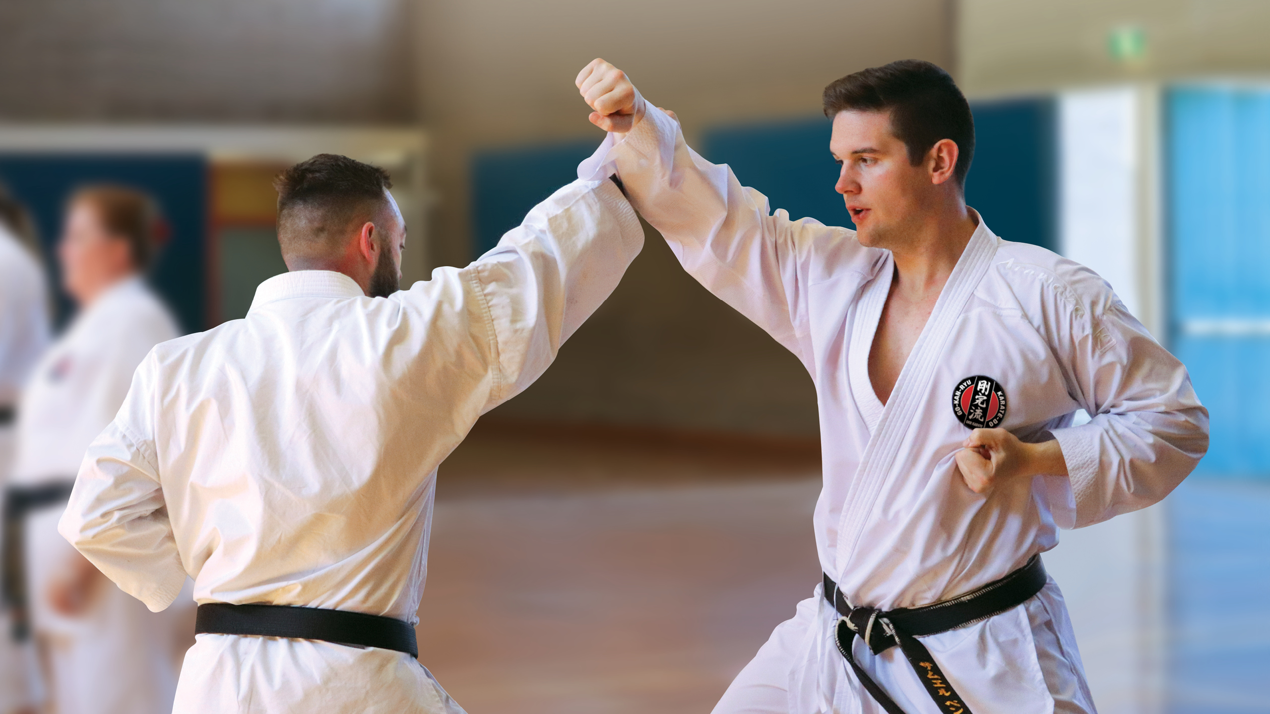 GKR Karate Bishopdale | GKR Karate